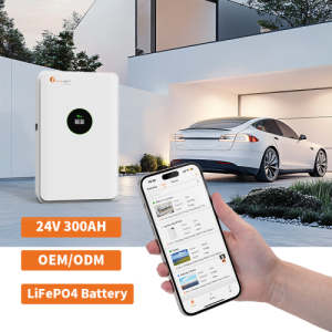 FLA24300 Lifepo4 Battery Felicity Solar 7 Year Warranty Pc Monitor 6000 Cycle 7