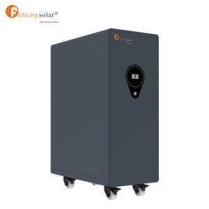 FLA48300 Solar 15kwh 48v 300ah lifepo4 battery lithium ion battery Lithium Ion Battery Pack for house Solar system